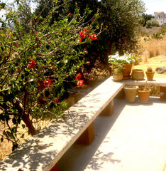 Cute sunny house near Agios Nikolaos center and 2 minutes walking from the beach  Sunny house 2 minutes from the sea! Entire home vacation rental 3196101