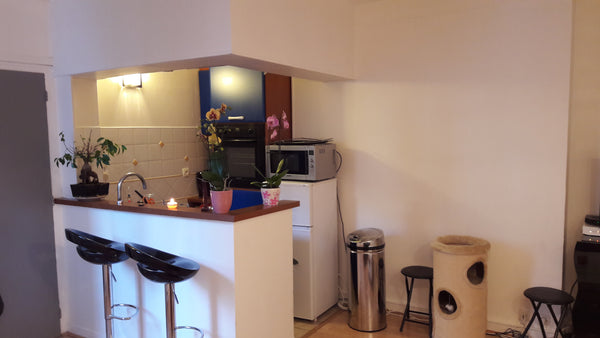 L'appartement comprend une belle pièce principale , une chambre, une salle de ba Paris, France Appartement cosy Paris 14 Entire rental unit vacation rental 18019648