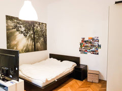 My roommate will be travelling for some time in summer, that's why we would be h  Superb private room in centrally located apartment Private room in rental unit vacation rental 35346720