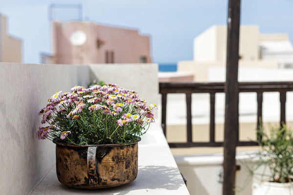 Experience the unique Cretan vibe of living in a traditional house in the heart  Rethimnon, Greece Antonia's blue apartment - old town Entire rental unit vacation rental 49974294