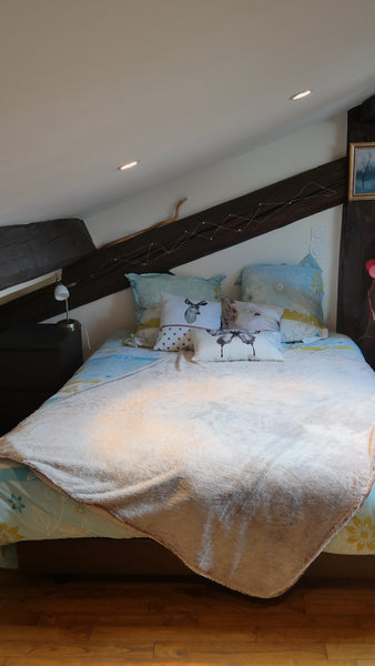 Cosy rooftop bedroom for 2 people in an old charming appartment with visible roc Lyon, France Rooftop bedroom near the Saone 10min from Old Lyon Private room in rental unit vacation rental 9191325