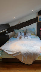 Cosy rooftop bedroom for 2 people in an old charming appartment with visible roc Lyon, France Rooftop bedroom near the Saone 10min from Old Lyon Private room in rental unit vacation rental 9191325