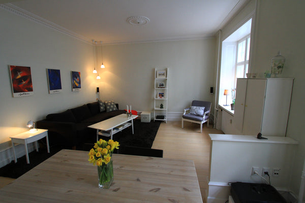 Cozy and bright apartment located in a quiet neighborhood in the Copenhagen city Copenhagen, Denmark Cozy apartment in the Copenhagen city area Entire rental unit vacation rental 18466531