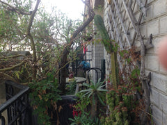 Situanted a stone's throw away from the famous cemetery "Père Lachaise" you are  Paris, France Quiet and bright 2-room apartment with a balcon Entire rental unit vacation rental 19688220