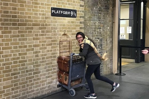 Harry Potter's London Feat. Harry Potter Movie Locations  Private Tours and Travel Guide Europe London CITY London Destination Tour Europe London CITY London