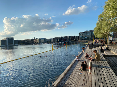 A spacious 3-bedroom apartment with fully equipped kitchen, loungy living room,  Copenhagen, Denmark Lovely 3-bedroom right on the water, 12min to city Entire condo vacation rental 659386563306904722