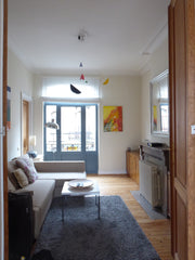 This cosy 83 m2 flat in Etterbeek, ideally located in the EU quarter, 5min from  Brussels, Belgium CHARMING&COSY FLAT near EU quarter Entire rental unit vacation rental 2205932