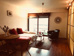 Le Bassin de la Villette est un quartier bucolique et branché à moins de 30 minu Paris, France 30m2 lumineux et central avec terrasse privée Private room in condo vacation rental 21614991