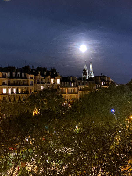 The ideal home away from home - a stylish penthouse of 120 m2 located in the cen Paris, France LARGE and LUXURIOUS Penthouse , Haut Marais Entire rental unit vacation rental 6987570