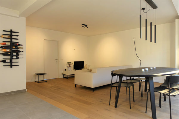 This modern and stylish apartment is located in a quiet area and only a 9 minute  Modern apartment in the center Entire condo vacation rental 620077503891756770