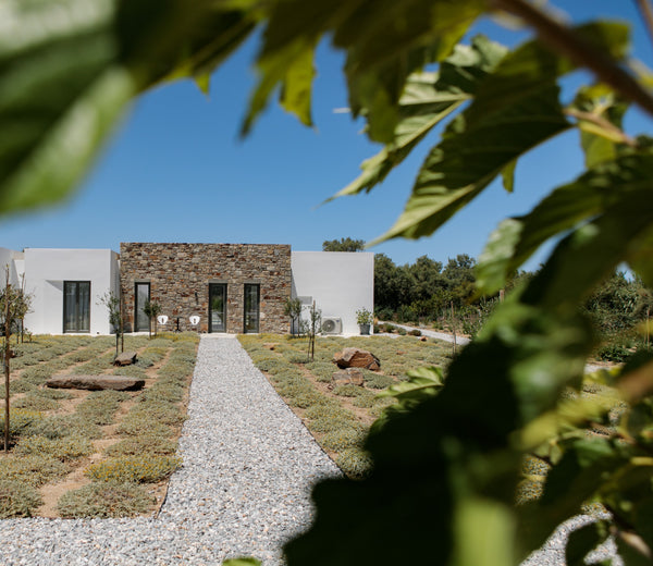 Stone Villa  Naxos brings a touch of minimalist aesthetic and comfort that will  Greece STONE VILLA NAXOS Entire villa vacation rental 53250095