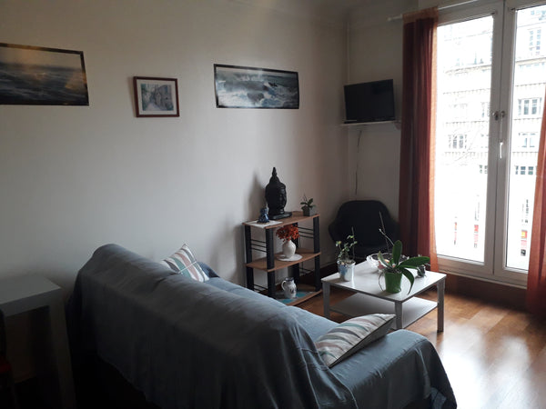 Appartement comprenant une entrée, un séjour avec canapé-lit, une cuisine, une s  Appartement Paris Sud Entire rental unit vacation rental 23227376