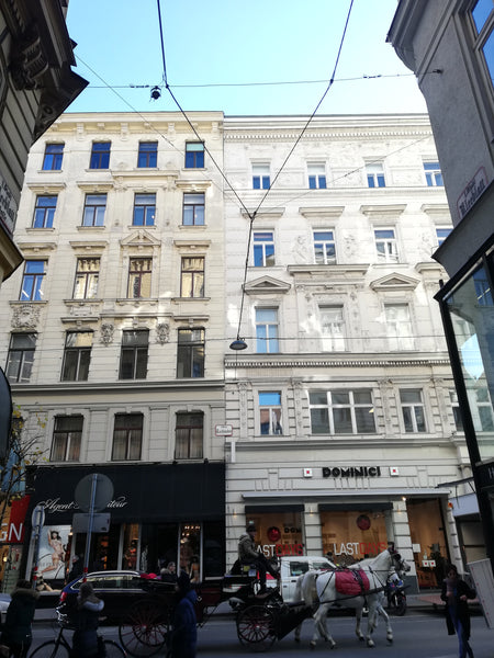 Es erwartet Sie eine stilvoll eingerichtete und geräumige Altbauwohnung im 1. Be Vienna, Austria Vienna Living Apartments - Kleeblattgasse Top 4 Entire rental unit vacation rental 49935520