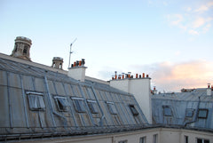 In the heart of Paris, this fully equipped 37m2 luminous "love nest" under the r Paris, France Cosy & beautiful place - St germain Entire rental unit vacation rental 4089692