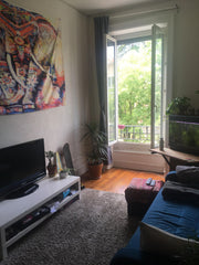 Appartement de 42 m² sans vis-à-vis, 2ème étage<br /><br />Le lit est en hauteur Lyon, France Appartement chaleureux dans le centre de Lyon Entire rental unit vacation rental 43903882