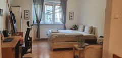 Spacious studio apartment with separated room for the kitchen. The place has an  Prague, Czechia Artistic studio near to the castle & centre Entire rental unit vacation rental 52017195