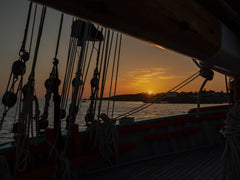 Passez une ou plusieurs nuits à bord de La Nébuleuse pendant le festival "Bordea  Nuit insolite - Voilier - Banette simple n° 2/10 Private room in boat vacation rental 605537264153701958