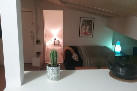 Appartement de charme situé  au 3 ème et dernier  étage (35 m2 loi  carrez) en p Bordeaux, France Appartement Chartrons Entire rental unit vacation rental 29333683