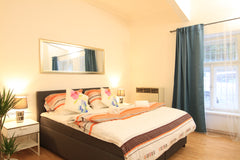 Renovated apartment in quiet neighboroughood<br />Perfect transport options: 18  Tabor, Czechia ❤️AMAZING Studio Prague 2 ❤️ Entire rental unit vacation rental 20249643