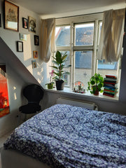 En super hyggelig hule på hippe Nørrebro. Mange planter, smuk kunst på væggene o  Magical sleeping place in the heart of Copenhagen Entire loft vacation rental 44501416