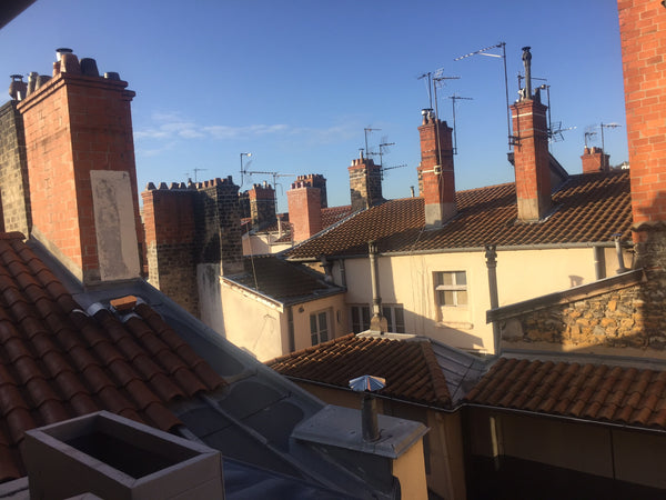 This charming little studio is located in the center next to the nice Jacobins s Lyon, France Le silence des toits / Silence under the roofs Entire rental unit vacation rental 36986000
