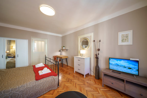 OLD TOWN - ECONOMY STUDIO TEMPLOVA II. is 30 m2/ 321 ft2 in size and is located  Prague, Czechia OLD TOWN - ECONOMY STUDIO TEMPLOVA II. Private room in serviced apartment vacation rental 3341259