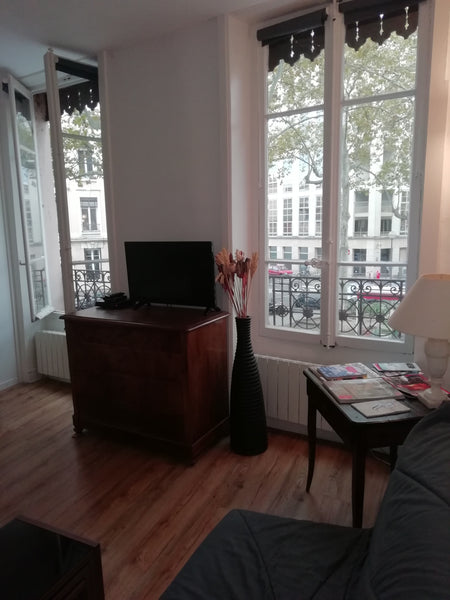 Profitez d'un joli appartement de 32 m2 dans le centre du quartier de la Croix-R Lyon, France Appartement au cœur de la Croix-Rousse Entire rental unit vacation rental 52063268
