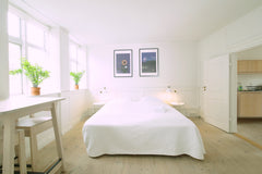 One room flat. With king size or two single beds, kitchen  with toaster, fridge, Copenhagen, Denmark Central Canal Apartment 5 Entire rental unit vacation rental 31139486
