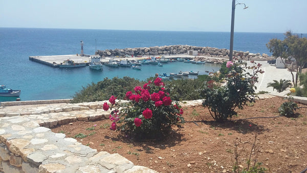 Apartments for rent at the port of Donousa fully equipped with kitchenette inclu Greece Kampos apartments Donoussa 1 Entire home vacation rental 32135386