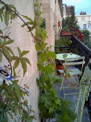 Idéal pour un couple d'amoureux. À deux pas du Père Lachaise, au 5è étage avec b Paris, France Nid douillet vue sur tout Paris Entire rental unit vacation rental 3687549