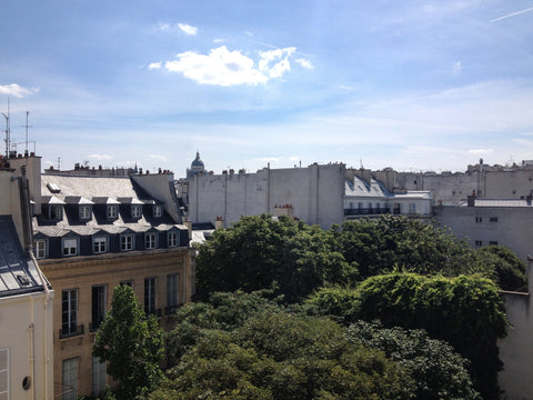 Bienvenue chez vous !<br />(...) pour un jour, ou deux, ou plus !<br />Un joli d Paris, France Appart d'Artiste - Odéon Entire rental unit vacation rental 7263259