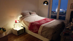 Logement à partager Paris, France Paris 15 Private room in rental unit vacation rental 22183175