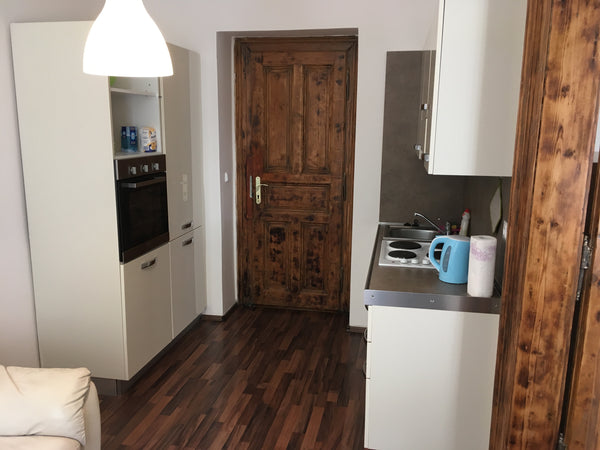 In the apartment there is a bedroom with a double bed and a sofa bed in the kitc Prague, Czechia 1 quiet apartment with access to the courtyard Entire rental unit vacation rental 31248850