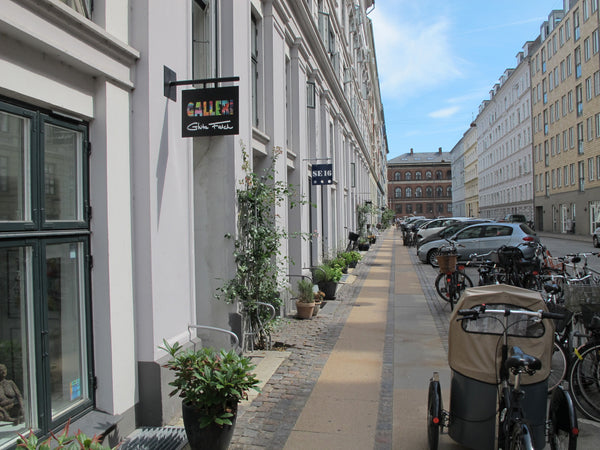 Our spacious, well-located apartment is a perfect base for exploring the best of Denmark Great location - stylish apartment Entire rental unit vacation rental 1079829