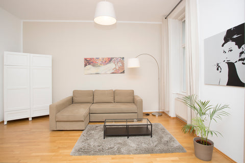 The apartment consists of:<br /><br />A very bright and spacious living room wit Vienna, Austria Georgeous Apartment near Stephansdom - Apt 11 Entire rental unit vacation rental 758811