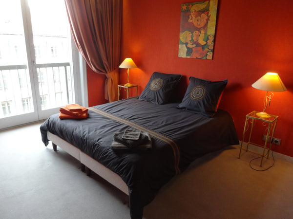 Very nice apartment with breathtaking views of the Fourvière cathedral, the saon  FETE DES LUMIERES   - SO BEAUTIFUL ! - Private room in rental unit vacation rental 23016751