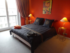 Very nice apartment with breathtaking views of the Fourvière cathedral, the saon  FETE DES LUMIERES   - SO BEAUTIFUL ! - Private room in rental unit vacation rental 23016751