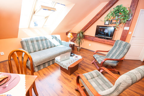 1 bedroom apartment with A/C  can accommodate up to 4 people.<br /><br />The apa Prague, Czechia City Center Heights No.5 1-Bedroom Entire rental unit vacation rental 668880