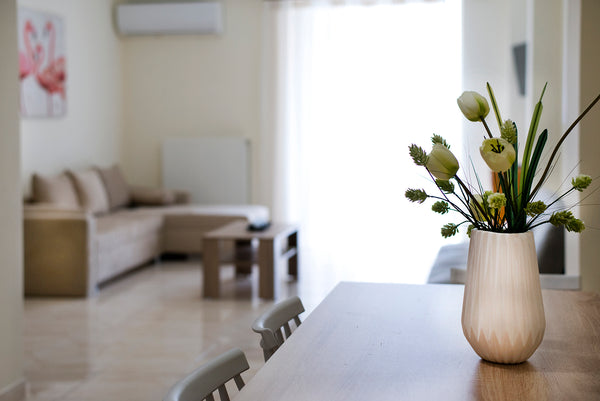 Francesca’s apartments are located near the center of Athens, in area Neos Kosmo Korydallos, Greece Francesca's apartments 