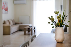 Francesca’s apartments are located near the center of Athens, in area Neos Kosmo Korydallos, Greece Francesca's apartments "Casa di amici" Entire rental unit vacation rental 34321877