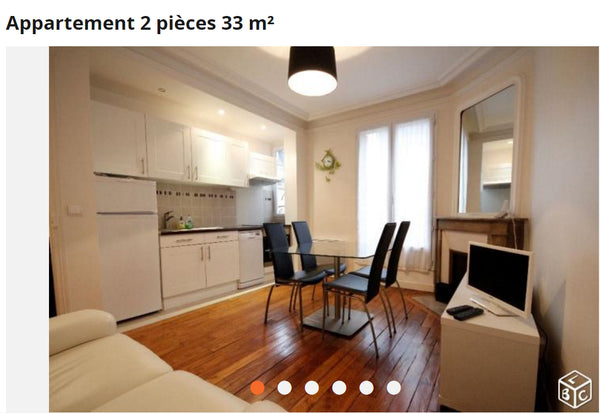 Elegant typical Parisian (Two fireplaces) apartment (33 m2) of 2 rooms (1 bedroo Paris, France Typical Parisian flat w/balcony near Eiffel tower Entire rental unit vacation rental 18246139