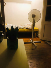 Appartement très lumineux au calme, 25 m2, situé au 4ème étage sans ascenseur. < Montpellier, France Appartement t1 bis croix rousse Entire rental unit vacation rental 37398592