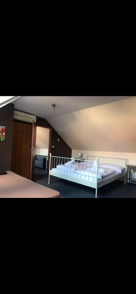 Ampio appartamento mansardato, vicino la fiume, con parcheggio disponibile nel p Dobříš, Czechia Augustus apartment Entire rental unit vacation rental 48716959