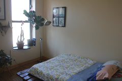 Live in our cozy Chinatown hide-away for a bit while we are away! Tastefully dec New York, NY Rental unit in New York · 1 bedroom · 1 bed · 1 bath Entire rental unit vacation rental 12202511