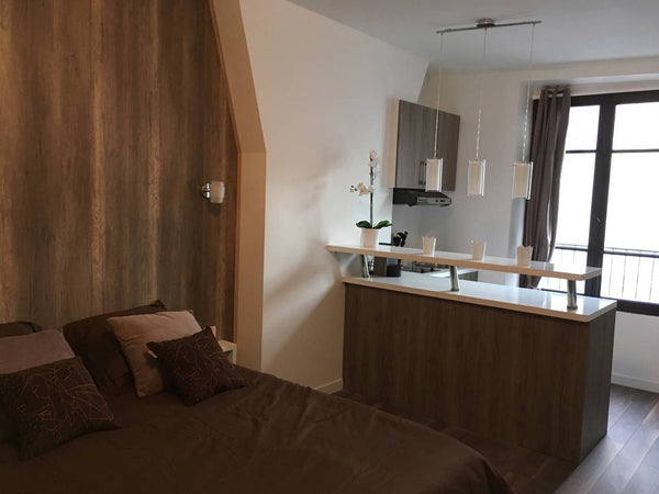 Important note: The apartment is disinfected after each stay<br /><br />Big and  Paris, France Superb Modern Studio  by Rodin Museum, Champs des Entire rental unit vacation rental 16011558