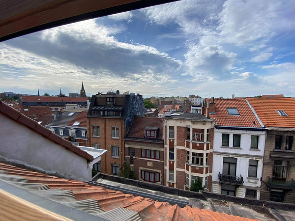 Duplex confortable, lumineux, aéré et très bien situé.<br />Salle de bain, 2 cha Brussels, Belgium Lightfull appartment in the heart of Brussels Private room in rental unit vacation rental 44623840