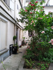  Paris, France T1 République (Paris) 38 m2 Entire rental unit vacation rental 30078594