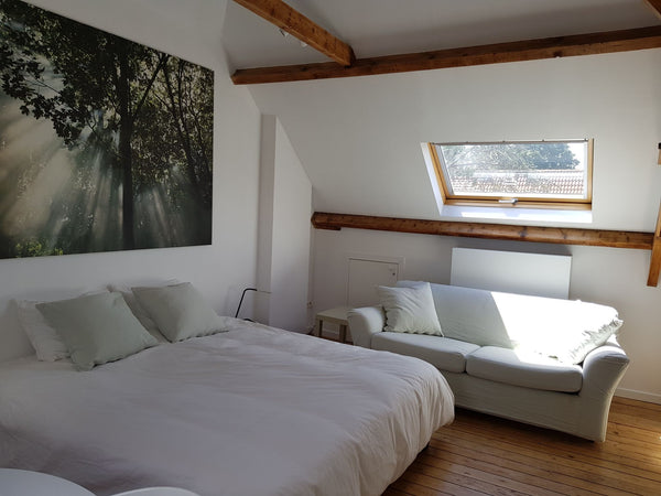 Gezellige gemeubelde dakstudio voor kort of middellang verblijf met uitgeruste a Zwijndrecht, Belgium Gezellige dakstudio vlakbij de Scheldeboorden. Entire rental unit vacation rental 19764702