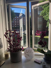 The apartment is located in Frederiksberg, one of the best and most beautiful ne Copenhagen, Denmark Super cozy studio in Frederiksberg close to Zoo Private room in rental unit vacation rental 26462213