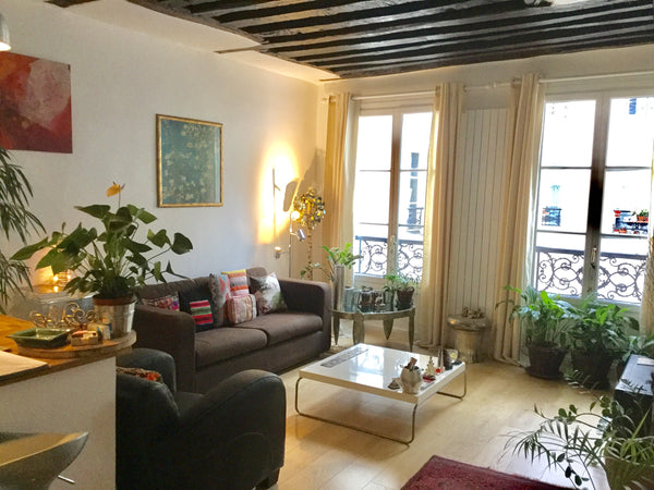 This apartment is the ideal place for a typical Parisian stay in the historic an Paris, France Lovely appartment Heart Paris - Haut Marais Private room in condo vacation rental 20878659